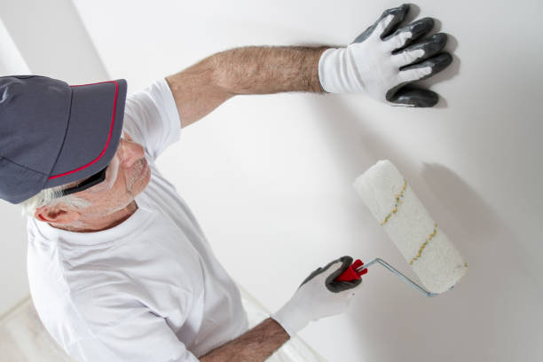 Best Residential Painting Experts  in Lake Shore, UT